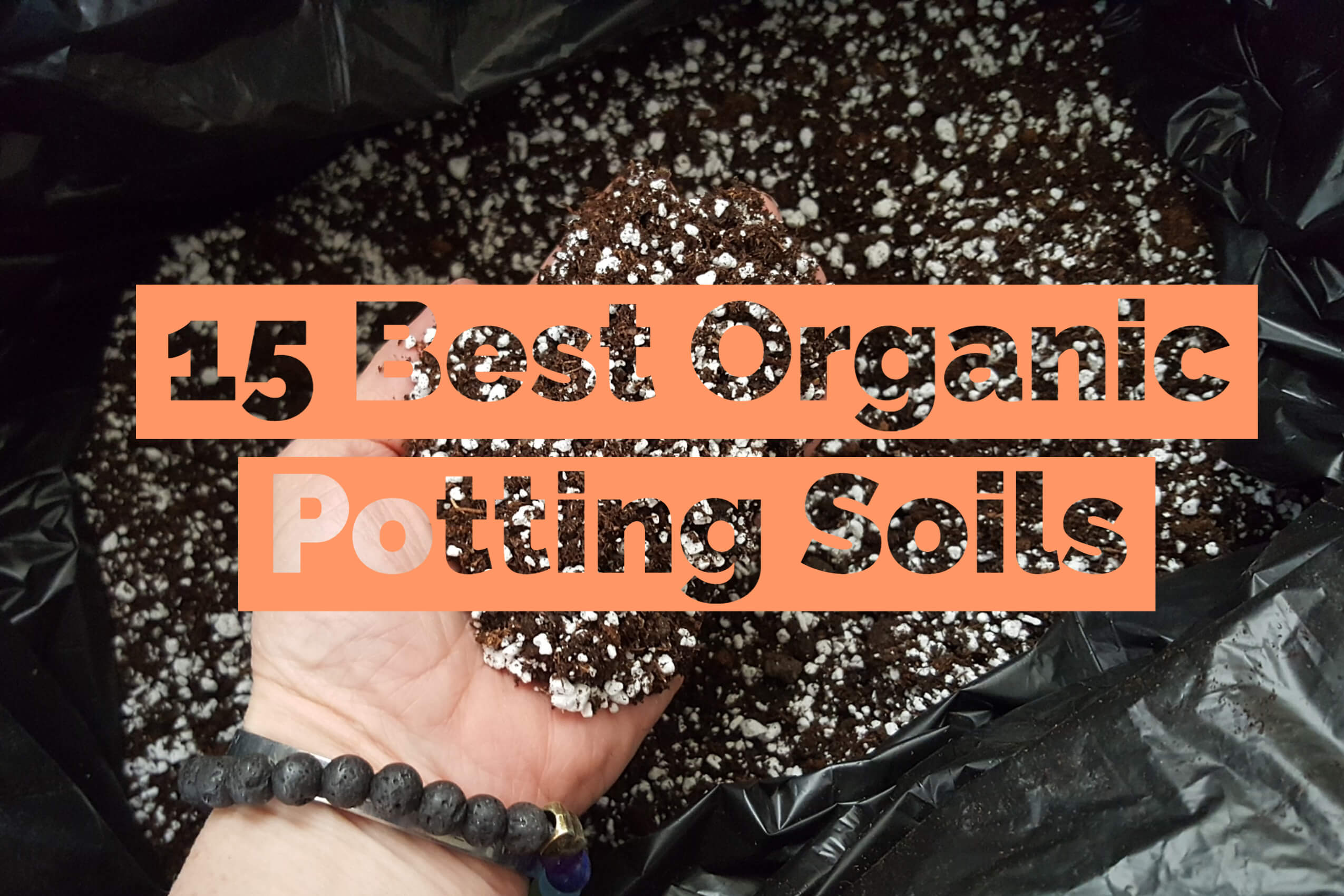 15 Best Organic Potting Soils