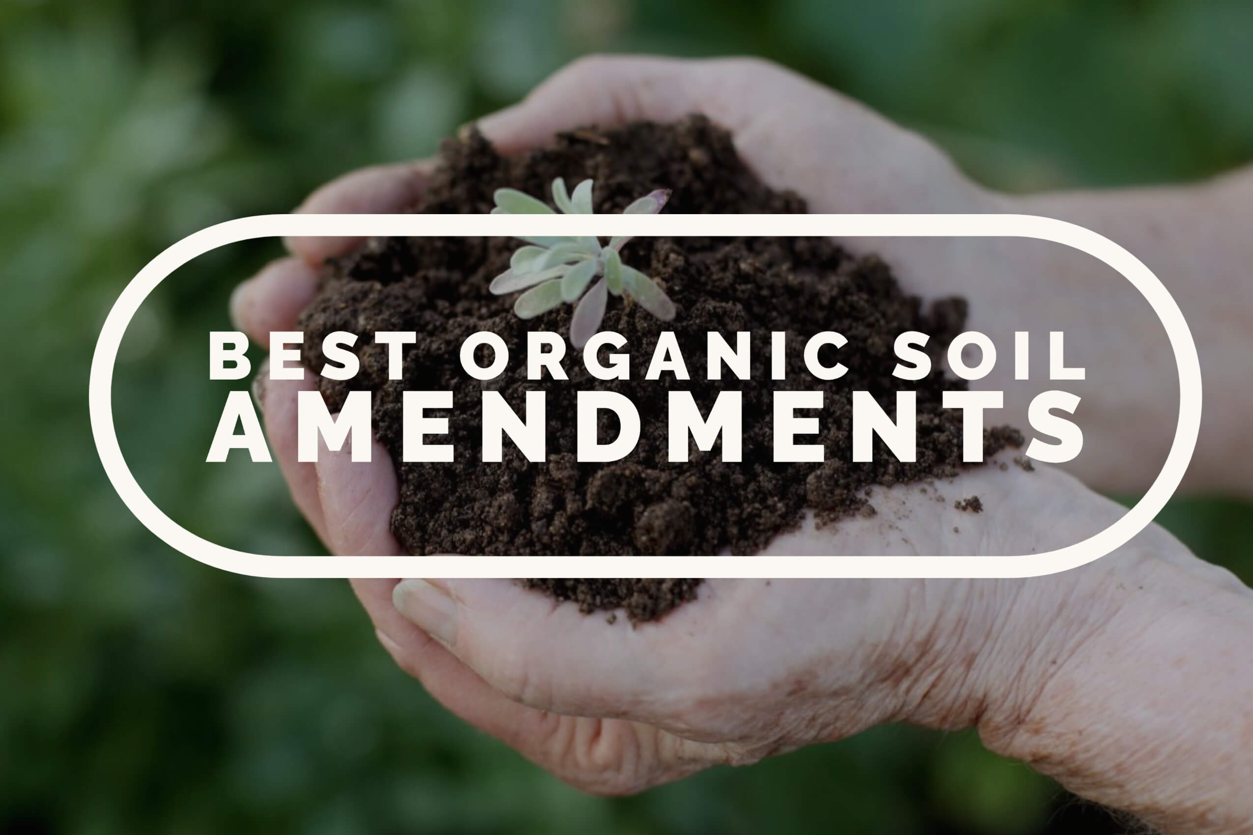 25 Best Organic Soil Amendments
