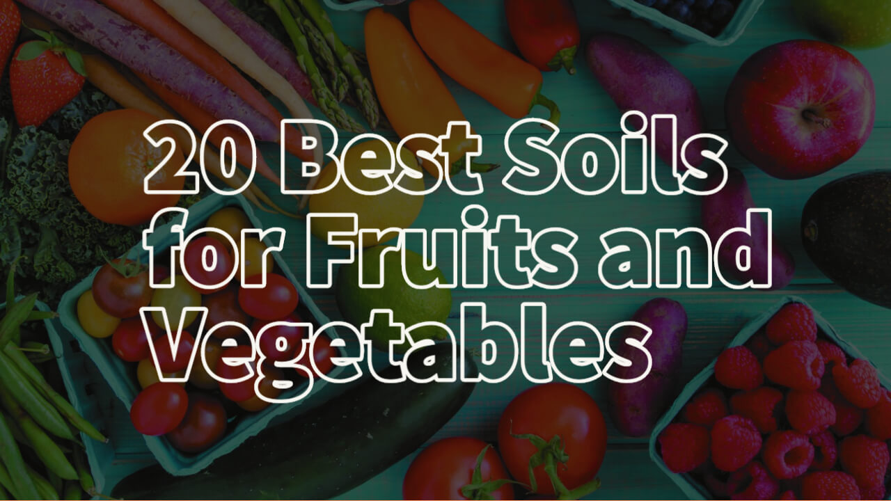20 Best Soils for Fruits and Vegetables