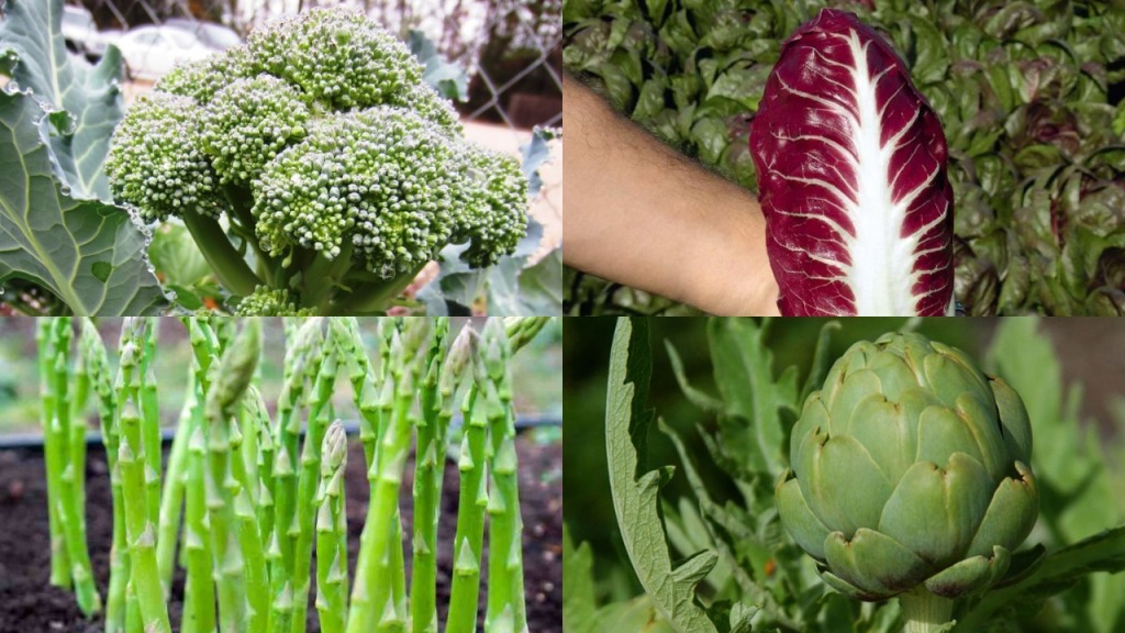 Perennial Vegetables You Can Easily Grow