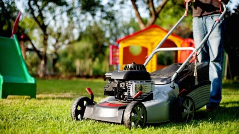 10 Best Gas Self Propelled Lawn Mowers For 2021