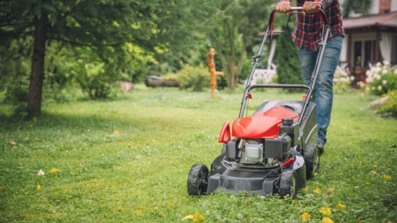 20 Best Push Lawn Mowers For Your Garden