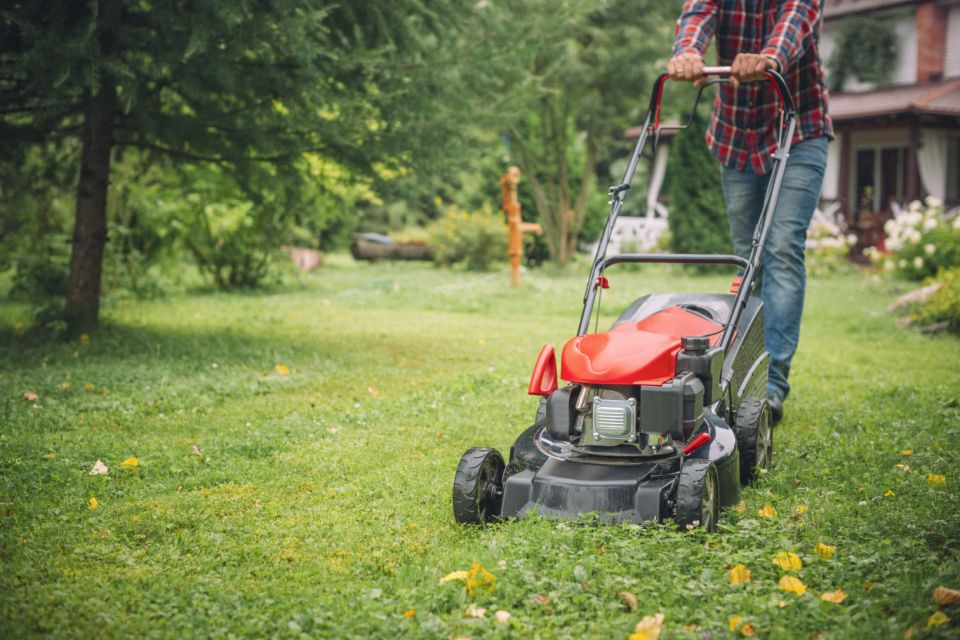 20 Best Push Lawn Mowers For Your Garden