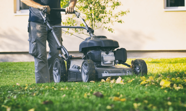 15 Best Lawn Movers By Toro for 2021