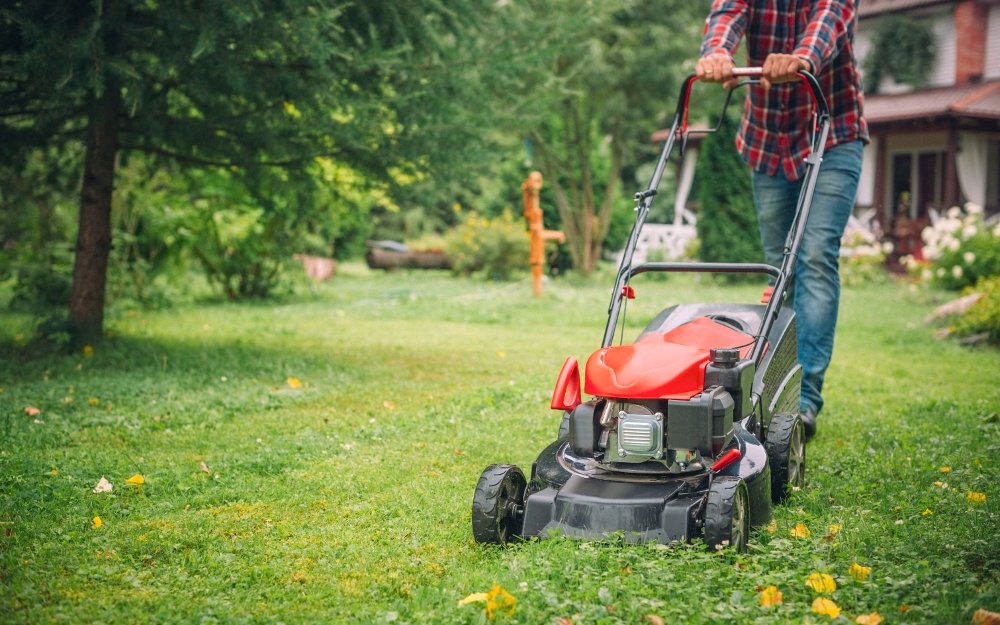 Best Lawn Mowers By Sun Joe For 2021