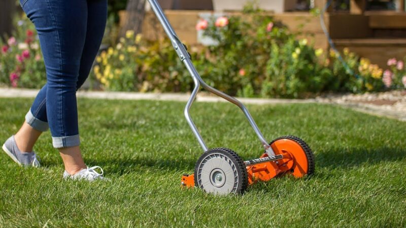 Best Reel Lawn Mowers For Your Garden