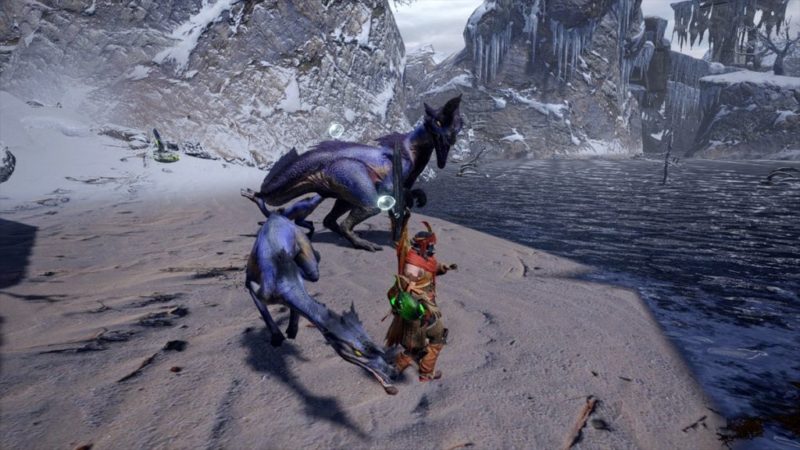 Monster Hunter Rise – All About The Great Baggi