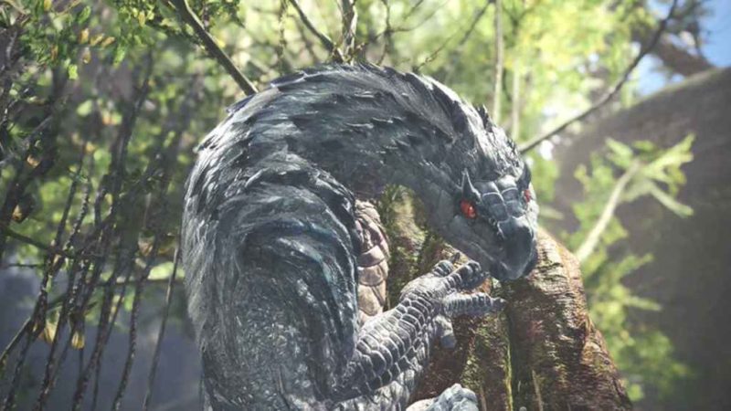 Monster Hunter Rise – All About The Tobi-Kadachi