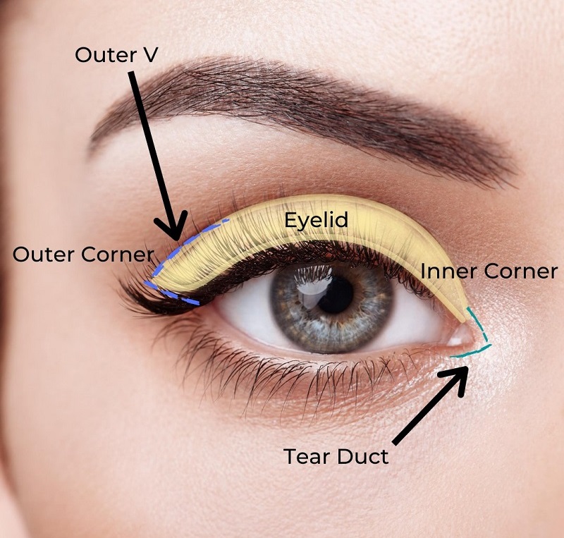 Apply Eye Shadow For Beginners