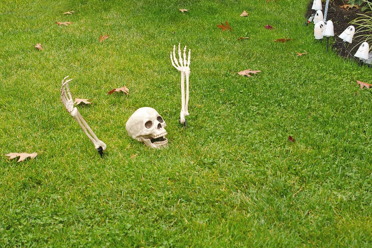 How To Decorate Your Yard For This Halloween
