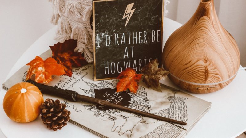 Harry Potter Theme Decorations Ideas for Halloween
